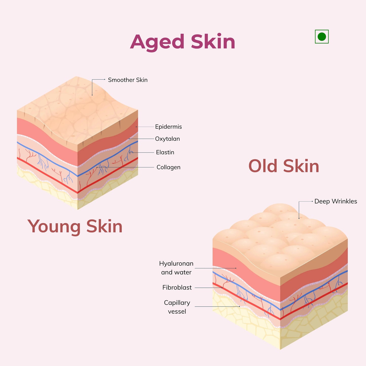 Veg Collagen Weoliv