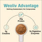 Weoliv Ignite Whey Protein Isolate & Concentrate with Creatine