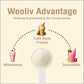 Weoliv Frappe Powder for Milkshakes & Cold Coffee Weoliv
